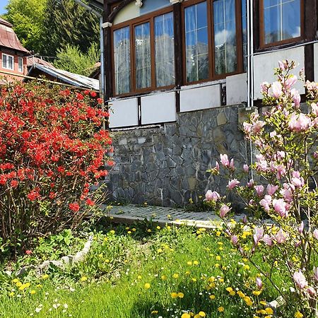 Vila Bradet บุชเตนี ภายนอก รูปภาพ