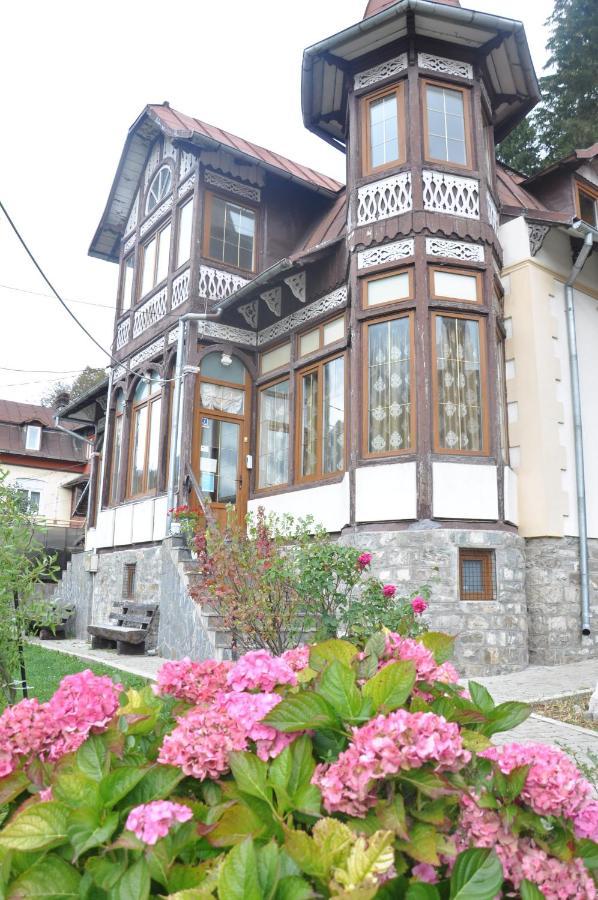 Vila Bradet บุชเตนี ภายนอก รูปภาพ