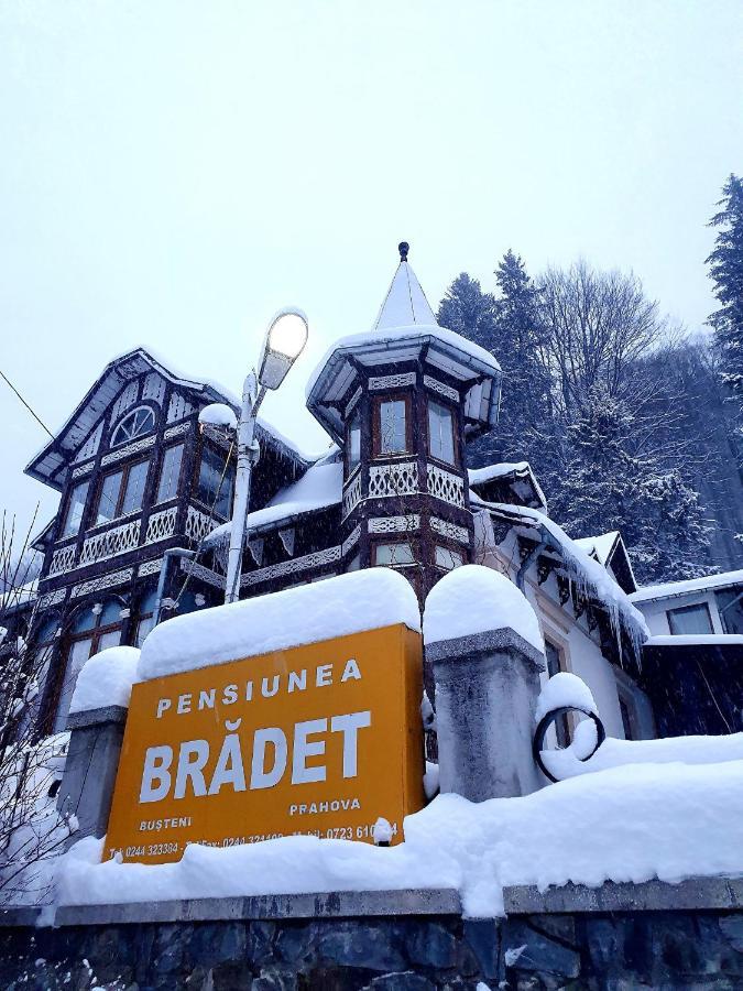 Vila Bradet บุชเตนี ภายนอก รูปภาพ