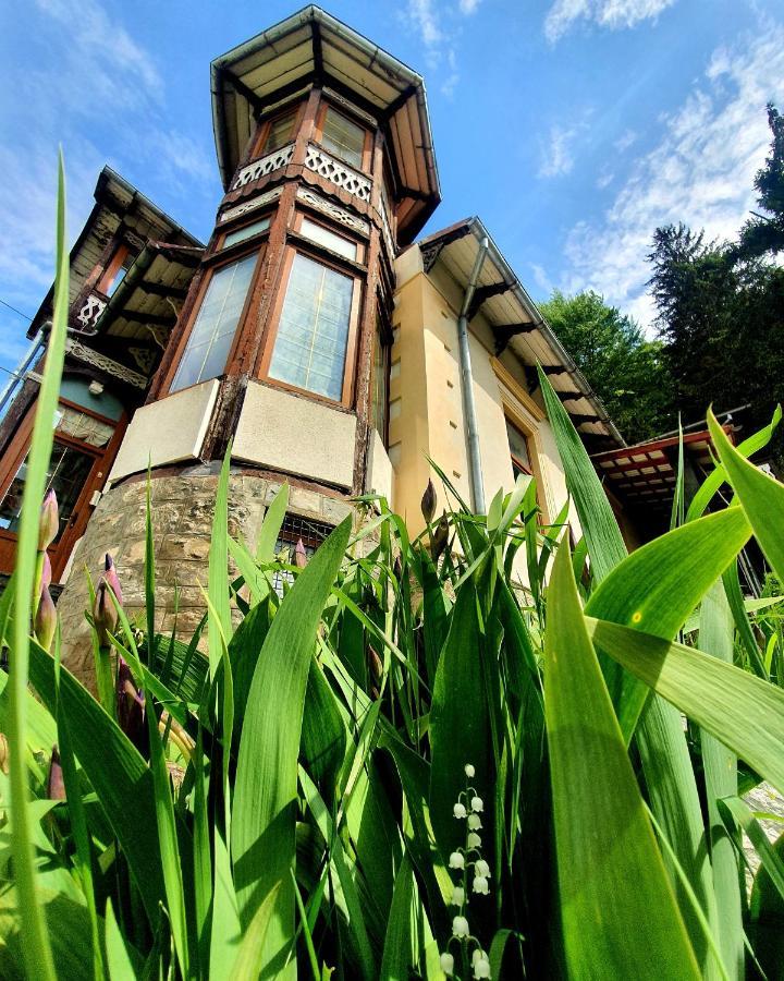Vila Bradet บุชเตนี ภายนอก รูปภาพ