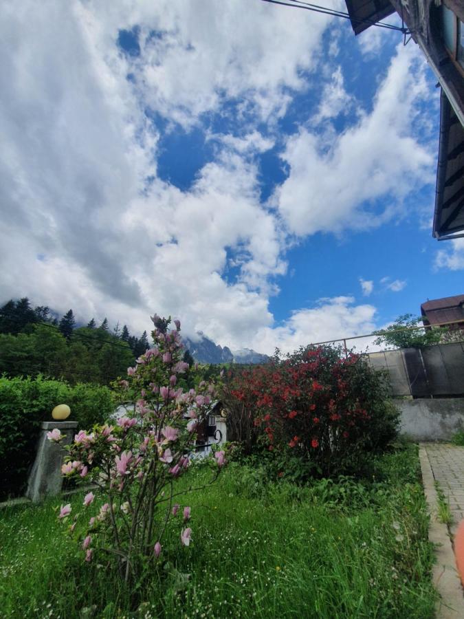 Vila Bradet บุชเตนี ภายนอก รูปภาพ